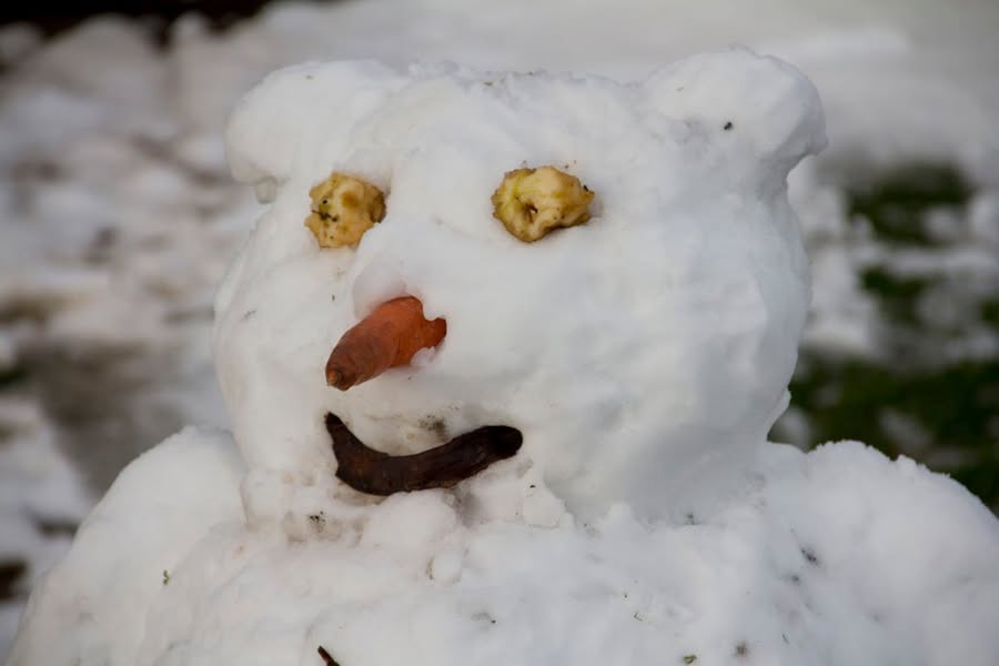 Nieve en Santiago (36 fotos)